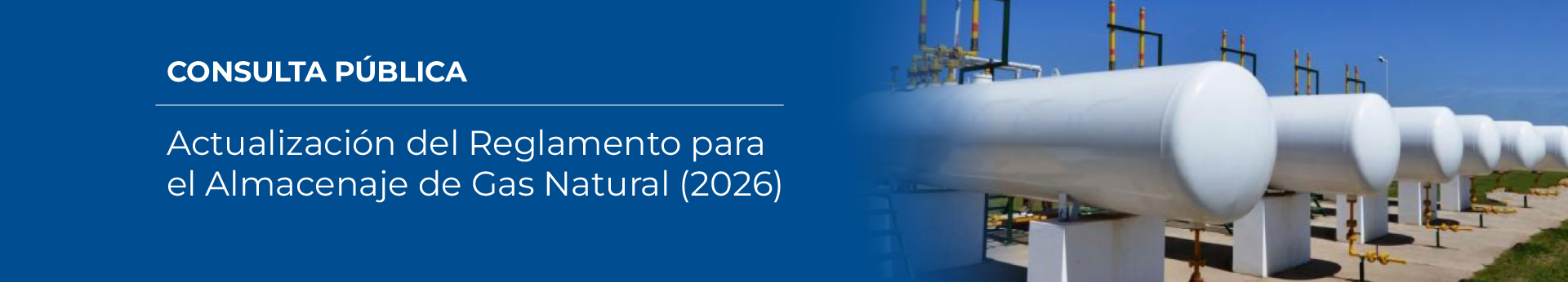 Reglamento para el Almacenaje de Gas Natural (2026)