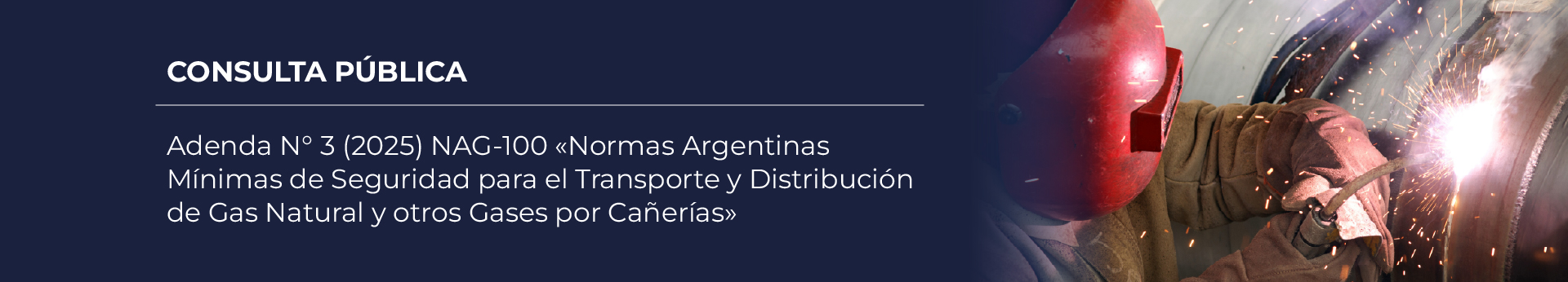 Adenda N.° 3 (2025) NAG-100