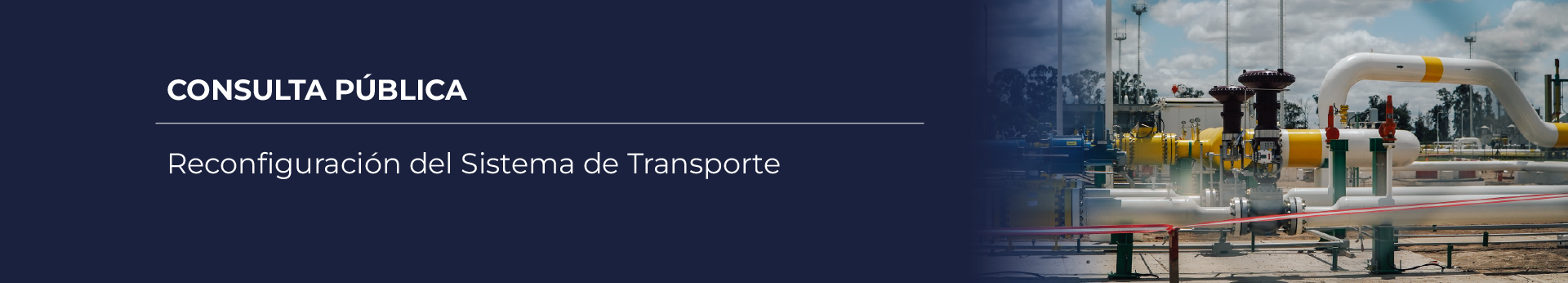 Consulta pública: Reconfiguración del sistema de transporte